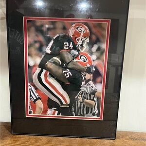 University of Georgia Bullldogs Framed Picture